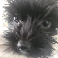 processed/a24e19c8-ba3c-4501-9b15-50e786f2c00d/listing/5c037799-4f1b-41fe-9b02-b61cd64e2e64/61f59bea-2dc0-4d04-a10a-98da21ce9bff