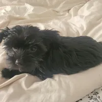 processed/a24e19c8-ba3c-4501-9b15-50e786f2c00d/listing/5c037799-4f1b-41fe-9b02-b61cd64e2e64/64d6cbfa-d10e-4ed4-96ac-b3180c9b5102