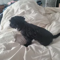 processed/a24e19c8-ba3c-4501-9b15-50e786f2c00d/listing/5c037799-4f1b-41fe-9b02-b61cd64e2e64/a99ecf5a-7433-4087-8e6e-c771a952aecb