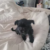 processed/a24e19c8-ba3c-4501-9b15-50e786f2c00d/listing/5c037799-4f1b-41fe-9b02-b61cd64e2e64/c7c664f3-7b64-4b33-96b2-503a83070012