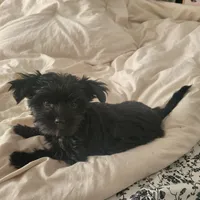 processed/a24e19c8-ba3c-4501-9b15-50e786f2c00d/listing/5c037799-4f1b-41fe-9b02-b61cd64e2e64/dacd7c17-8f12-4c16-a24c-4104d8e3c5e8