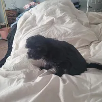 processed/a24e19c8-ba3c-4501-9b15-50e786f2c00d/listing/5c037799-4f1b-41fe-9b02-b61cd64e2e64/eddf60a6-0b5c-40aa-9323-9bef2c4d356e