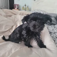 processed/a24e19c8-ba3c-4501-9b15-50e786f2c00d/listing/5c037799-4f1b-41fe-9b02-b61cd64e2e64/f0ad2af2-90b5-4b63-96ec-df78a9858b75