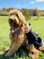 processed/a24eed70-4f96-461b-8131-6bd1e2cd2200/facility/181d3ec4-d9f7-41c1-9b1e-aa80d2bd4b8f