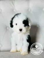 processed/a24eed70-4f96-461b-8131-6bd1e2cd2200/facility/3d585851-d4dc-4f6e-a7d8-fb555fb76207