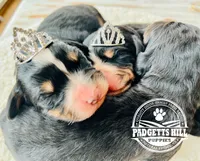 processed/a24eed70-4f96-461b-8131-6bd1e2cd2200/facility/480ede10-a7dc-4a80-b27c-005ec9101157