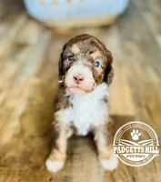 processed/a24eed70-4f96-461b-8131-6bd1e2cd2200/facility/b02a3e08-8e29-4d21-8f09-85db4b9a0d6d