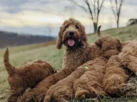 processed/a24eed70-4f96-461b-8131-6bd1e2cd2200/facility/b12dce9b-4cd8-4f81-a810-15be1b22a0cf