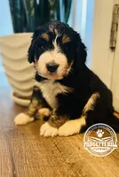 processed/a24eed70-4f96-461b-8131-6bd1e2cd2200/facility/b72c6e8b-0fce-4a3f-92e4-57df035db7b3