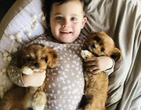 processed/a24eed70-4f96-461b-8131-6bd1e2cd2200/facility/bb7b5472-a6f4-4286-8498-ce370fcb5262