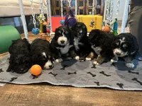 processed/a24eed70-4f96-461b-8131-6bd1e2cd2200/facility/c09ef220-6148-4ddb-b334-e604cbe18b19