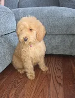 processed/a250cfbc-fa34-4c98-ba89-be98796b6d56/listing/07eb6e3c-6137-45f6-93c1-04fad254ba5e/4be1c561-b72b-42ad-bc5a-30df31861157