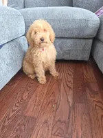 processed/a250cfbc-fa34-4c98-ba89-be98796b6d56/listing/07eb6e3c-6137-45f6-93c1-04fad254ba5e/5f20797f-5ac5-482c-b754-9957375b8cd8