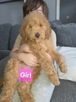 processed/a250cfbc-fa34-4c98-ba89-be98796b6d56/listing/07eb6e3c-6137-45f6-93c1-04fad254ba5e/dc54dbc0-59f5-44c0-9e86-2288a91b5859