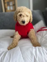 processed/a250cfbc-fa34-4c98-ba89-be98796b6d56/listing/9982002f-2c21-489f-ae3c-dfd00ba1856f/8b10b063-8e4a-4821-982d-25d01d43996f