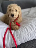 processed/a250cfbc-fa34-4c98-ba89-be98796b6d56/listing/9982002f-2c21-489f-ae3c-dfd00ba1856f/b154765c-e5e3-4c5c-955b-dbf5dababde6