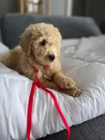 processed/a250cfbc-fa34-4c98-ba89-be98796b6d56/listing/9982002f-2c21-489f-ae3c-dfd00ba1856f/b3a06b59-9569-4b45-8dcd-d8abfc54ad1f