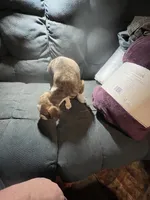 processed/a257d229-f42b-4206-aa9e-ab5ead0db248/listing/257db60f-34c6-48cb-91a7-201e823f6847/42147ad8-81c3-4e4e-9cbb-90aa2ec42cf6