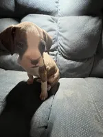 processed/a257d229-f42b-4206-aa9e-ab5ead0db248/listing/257db60f-34c6-48cb-91a7-201e823f6847/53df29d9-e01d-4a15-b8eb-398e846cc105