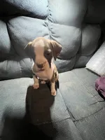 processed/a257d229-f42b-4206-aa9e-ab5ead0db248/listing/257db60f-34c6-48cb-91a7-201e823f6847/7015e12d-f459-4ad0-af38-8e9d4b649f4c