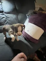 processed/a257d229-f42b-4206-aa9e-ab5ead0db248/listing/257db60f-34c6-48cb-91a7-201e823f6847/89375205-999c-4a3b-984b-2c4a439049ec