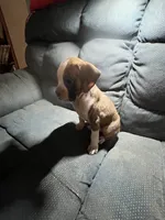 processed/a257d229-f42b-4206-aa9e-ab5ead0db248/listing/257db60f-34c6-48cb-91a7-201e823f6847/93a1957d-2d1e-4763-a2a7-60264d0e2211