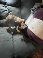 processed/a257d229-f42b-4206-aa9e-ab5ead0db248/listing/257db60f-34c6-48cb-91a7-201e823f6847/a1d777d0-9772-453d-a3fd-73cd50e1af42