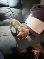 processed/a257d229-f42b-4206-aa9e-ab5ead0db248/listing/257db60f-34c6-48cb-91a7-201e823f6847/b6c58b4e-c6bd-455d-a554-c906dc01bca7