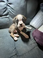 processed/a257d229-f42b-4206-aa9e-ab5ead0db248/listing/257db60f-34c6-48cb-91a7-201e823f6847/e081dbb5-1cc4-4a4a-9f54-4eececc1a782