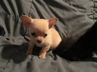 processed/a257d229-f42b-4206-aa9e-ab5ead0db248/listing/7b3f0f34-e021-4c7d-bbd9-8efd3c765dad/9ac994d9-4e72-4e54-9bd3-4f8310262287