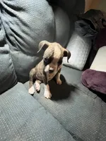 processed/a257d229-f42b-4206-aa9e-ab5ead0db248/listing/bd041994-5611-46e1-951c-3c11e8a1a1a1/136a91a6-a75b-47c8-8ec9-cb659066edb5