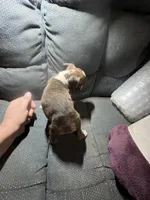 processed/a257d229-f42b-4206-aa9e-ab5ead0db248/listing/bd041994-5611-46e1-951c-3c11e8a1a1a1/1ba01210-5695-4d69-96e2-664a09c343ec