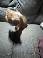 processed/a257d229-f42b-4206-aa9e-ab5ead0db248/listing/bd041994-5611-46e1-951c-3c11e8a1a1a1/2612af14-ae66-4f72-99b7-6e80c0f91cad