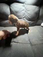 processed/a257d229-f42b-4206-aa9e-ab5ead0db248/listing/bd041994-5611-46e1-951c-3c11e8a1a1a1/87e7d304-d91f-45f3-a311-ecb2c914e979