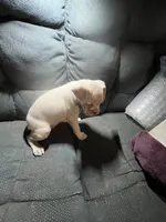 processed/a257d229-f42b-4206-aa9e-ab5ead0db248/listing/bfd6e542-5b93-4c36-8aa6-5d313b5b27c8/097d9aea-0245-4efd-97e8-4f0008c865fd