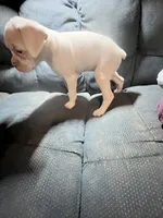 processed/a257d229-f42b-4206-aa9e-ab5ead0db248/listing/bfd6e542-5b93-4c36-8aa6-5d313b5b27c8/43a169fb-8849-43f5-9350-481436b9c42f