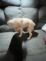 processed/a257d229-f42b-4206-aa9e-ab5ead0db248/listing/bfd6e542-5b93-4c36-8aa6-5d313b5b27c8/aba81237-3d54-4027-b068-1bc348b2be0c