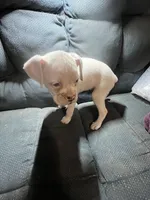 processed/a257d229-f42b-4206-aa9e-ab5ead0db248/listing/bfd6e542-5b93-4c36-8aa6-5d313b5b27c8/bbe8b6b8-f2c5-4a35-b191-8a7bd47edf1e