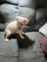 processed/a257d229-f42b-4206-aa9e-ab5ead0db248/listing/bfd6e542-5b93-4c36-8aa6-5d313b5b27c8/f259b4f6-c7b8-4c38-aae6-cb45123b9336