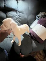 processed/a257d229-f42b-4206-aa9e-ab5ead0db248/listing/d47018ca-8232-45c5-8eb1-d0a8017beafe/560e17f6-1fd1-46fb-8c67-3830ce2f4756