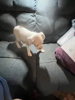 processed/a257d229-f42b-4206-aa9e-ab5ead0db248/listing/d47018ca-8232-45c5-8eb1-d0a8017beafe/73cb92de-5733-4fcb-b99a-71bd805b17b5