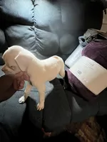 processed/a257d229-f42b-4206-aa9e-ab5ead0db248/listing/d47018ca-8232-45c5-8eb1-d0a8017beafe/ebf07302-8fc0-416b-b94a-02814d6e9f40