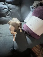 processed/a257d229-f42b-4206-aa9e-ab5ead0db248/listing/d8a454a4-1c42-4df0-9456-ef9303d27178/479e707d-2420-42a6-955c-daed628a56b0