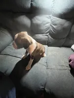 processed/a257d229-f42b-4206-aa9e-ab5ead0db248/listing/d8a454a4-1c42-4df0-9456-ef9303d27178/7913748d-72bf-4e87-a04f-e63c1b46cea4