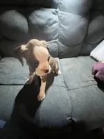 processed/a257d229-f42b-4206-aa9e-ab5ead0db248/listing/d8a454a4-1c42-4df0-9456-ef9303d27178/95fe1811-768e-469b-974d-b7aa70c0dde0