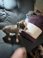 processed/a257d229-f42b-4206-aa9e-ab5ead0db248/listing/d8a454a4-1c42-4df0-9456-ef9303d27178/d4d5ea16-116c-4d10-bae0-e0f70a690f3f