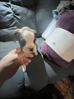 processed/a257d229-f42b-4206-aa9e-ab5ead0db248/listing/d8a454a4-1c42-4df0-9456-ef9303d27178/f8e12ea5-6c4e-4016-ae01-86dba5ed30b9