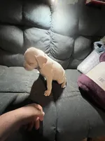 processed/a257d229-f42b-4206-aa9e-ab5ead0db248/listing/edb88f00-fb51-41a9-8c6f-412f0d091850/67de1b59-1ce9-48af-abd9-e837d02ab867