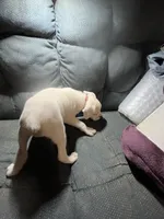 processed/a257d229-f42b-4206-aa9e-ab5ead0db248/listing/edb88f00-fb51-41a9-8c6f-412f0d091850/71fb5b21-674c-4400-9bf9-ee1df4a4f7ae