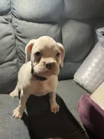 processed/a257d229-f42b-4206-aa9e-ab5ead0db248/listing/edb88f00-fb51-41a9-8c6f-412f0d091850/91fa9a62-b98b-4644-8988-5e5d45e55d00